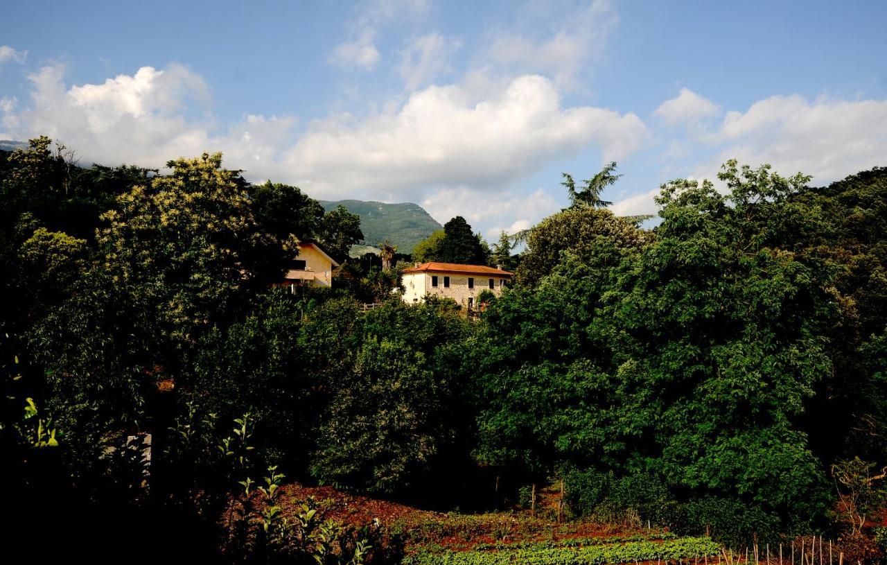 Sezze Country House المظهر الخارجي الصورة